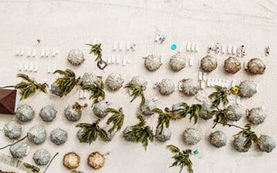 ТОП открытых стран для пляжного отдыха в 2025 году