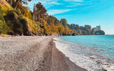 Отели Грузии на берегу моря