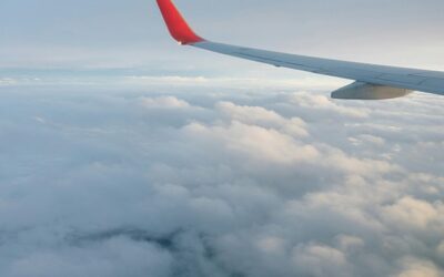 Белавиа вводит дополнительные услуги на чартерных рейсах