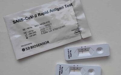 В Египет с 1 июля не нужен ПЦР тест вакцинированным